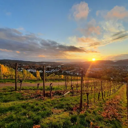 Ferienwohnung An Der Obermosel Oberbillig Esterno foto