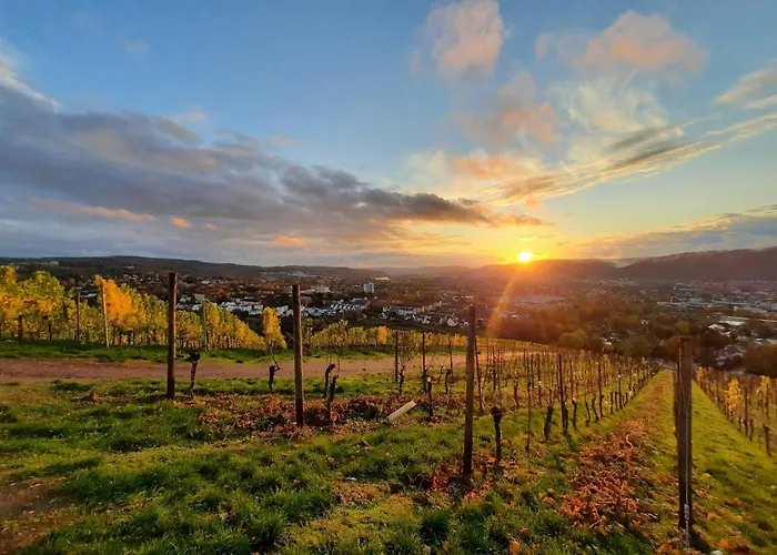 Ferienwohnung An Der Obermosel