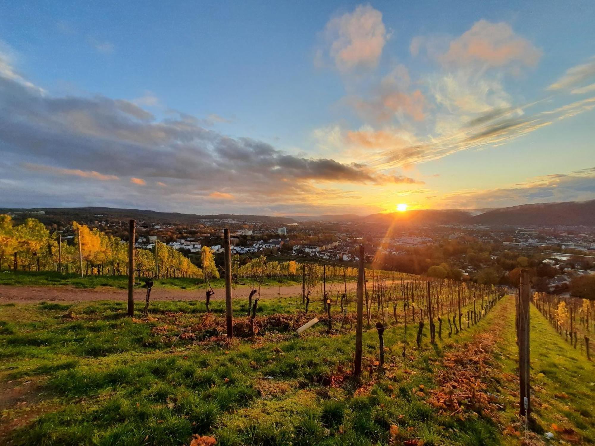 An Der Obermosel